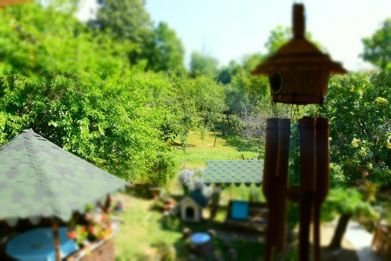 Casa Smeilor Horezu Luaran gambar