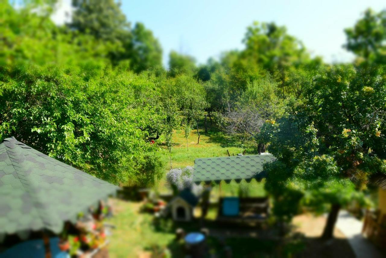 Casa Smeilor Horezu Bilik gambar